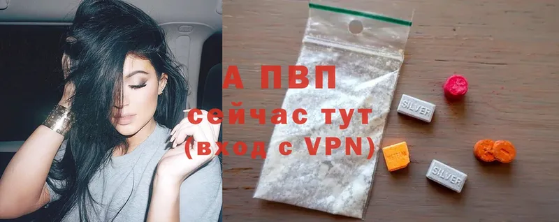 где купить   Бавлы  A PVP СК КРИС 